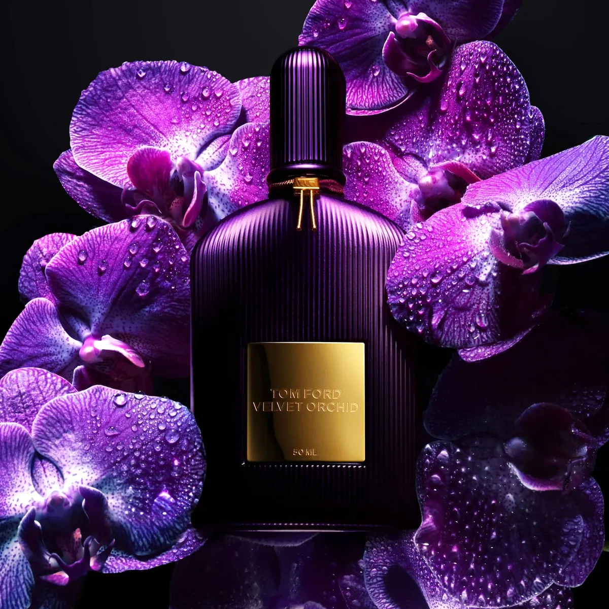 TOM FORD - Tom Ford Velvet Orchid Edp 100ml Mujer