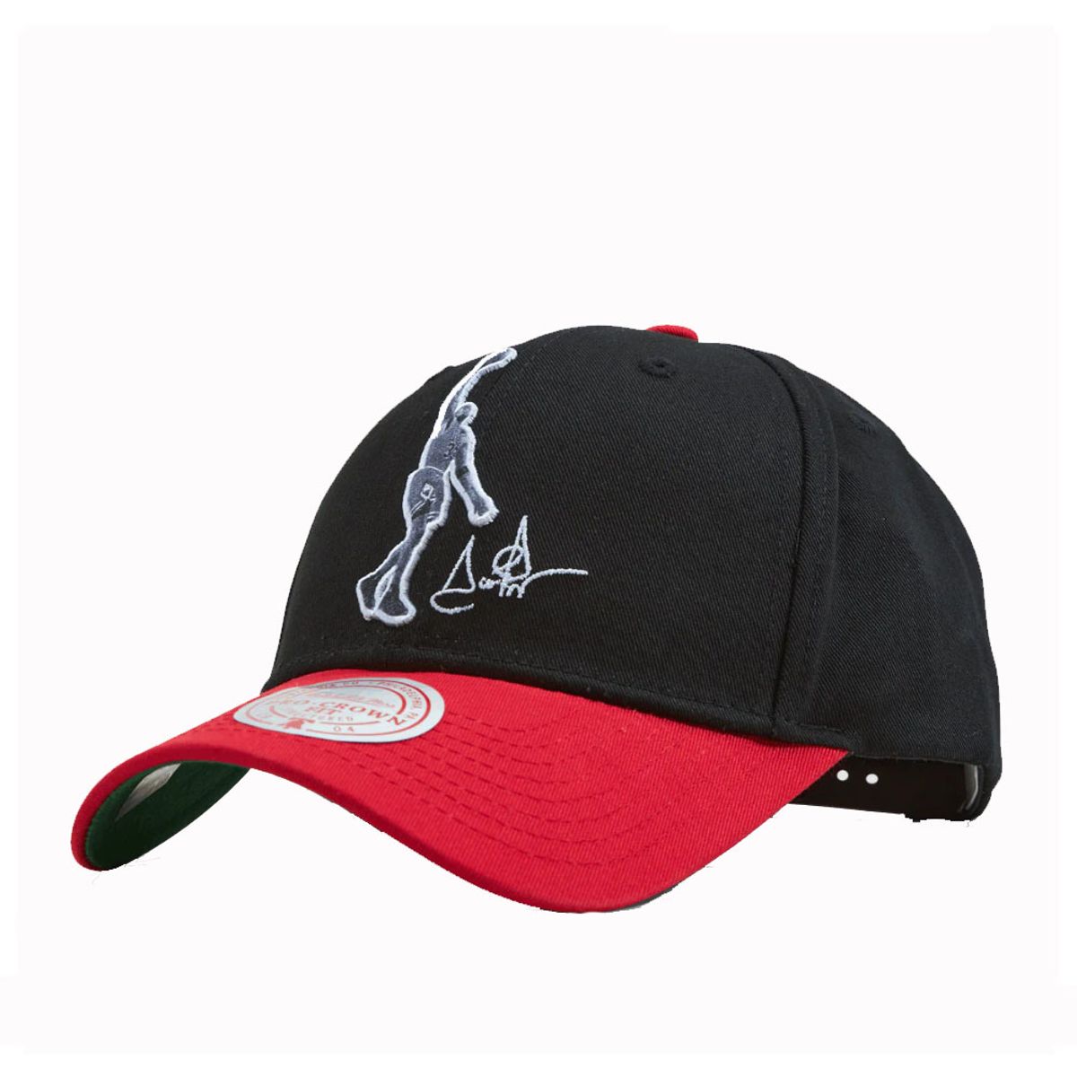 MITCHELL & NESS - Jockey Gorro Mitchell And Ness Highlights Real Scottie Pippen