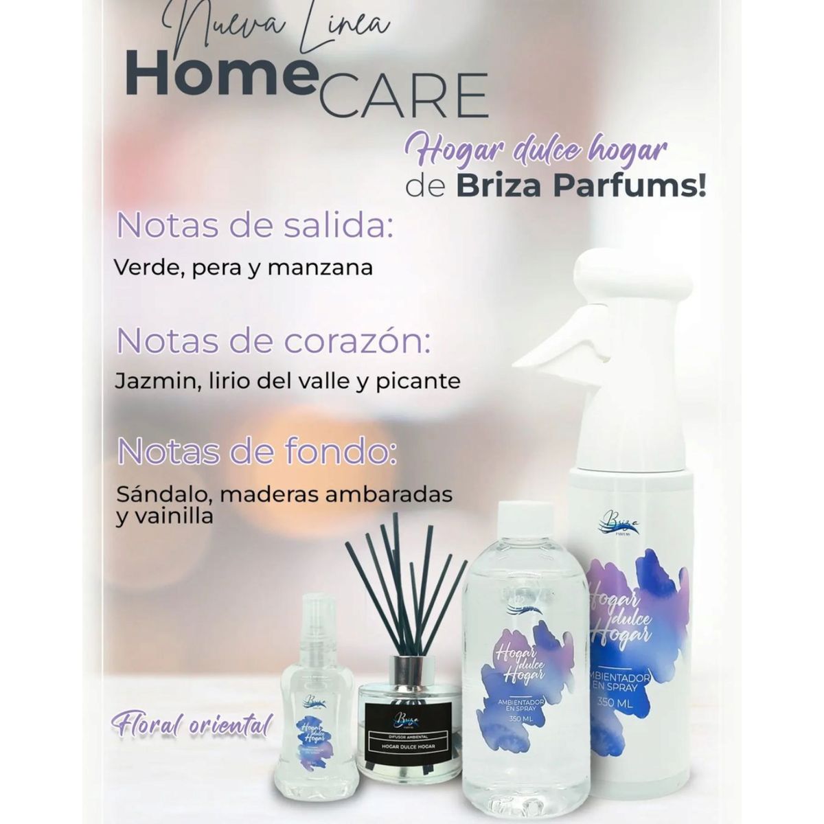 GENERICO - Difusor Aromático Mikado Varillas Hogar Dulce Hogar 150ml Briza parfums