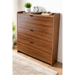 GENERICO - Zapatero Moderno Mueble Organizador de Zapatos Color Cafe Oscuro