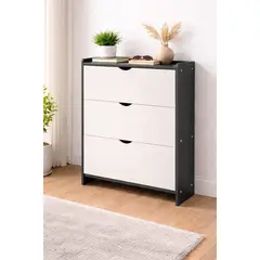 GENERICO - Zapatero Moderno Mueble Organizador de Zapatos Color Gris Plomo con Blanco