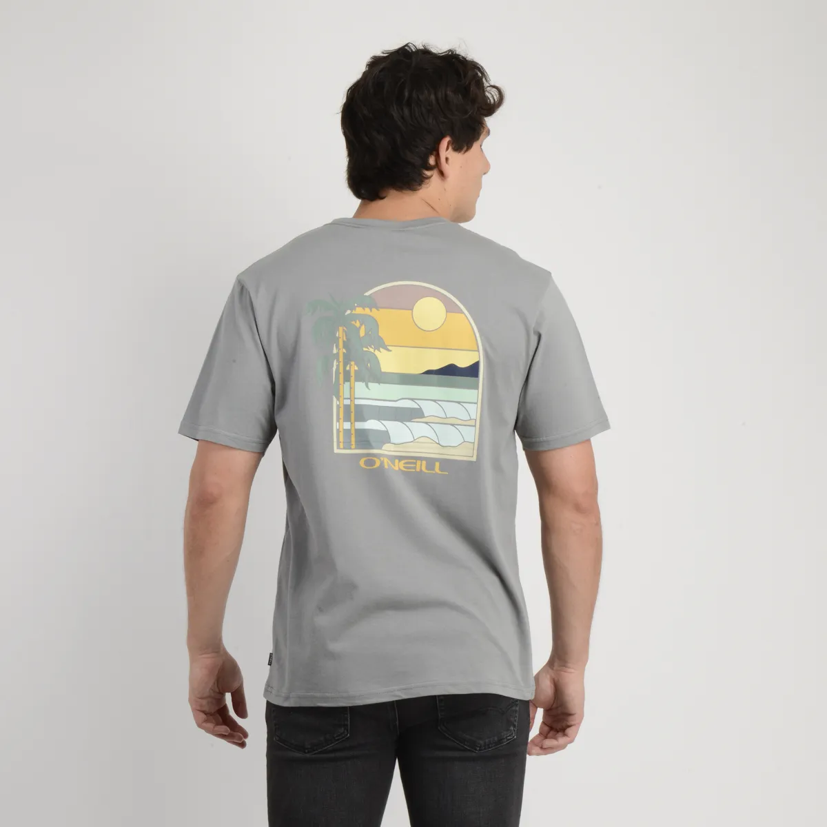 O'NEILL - POLERA MANGA CORTA GLASSY DAYS GRIS