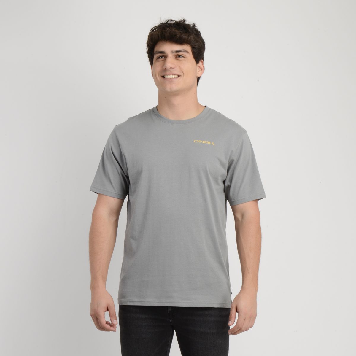 O'NEILL - POLERA MANGA CORTA GLASSY DAYS GRIS