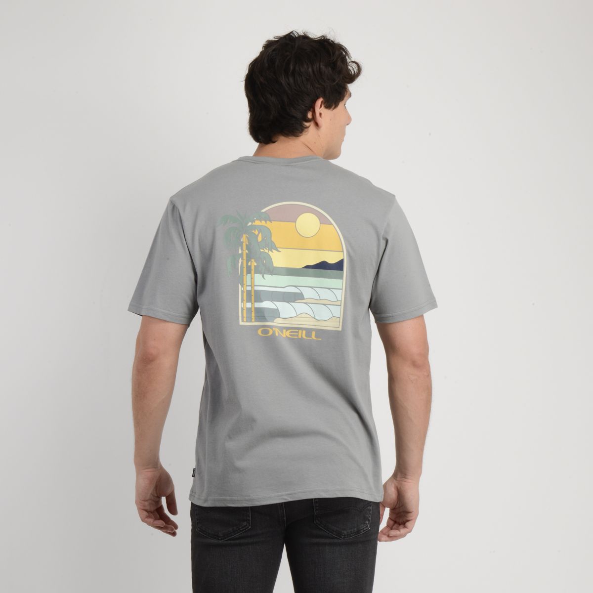 O'NEILL - POLERA MANGA CORTA GLASSY DAYS GRIS