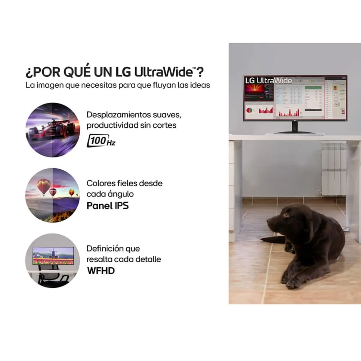 LG - Monitor LG UltraWide 29 WFHD 100Hz IPS compacto para tu espacio 29U511A-B