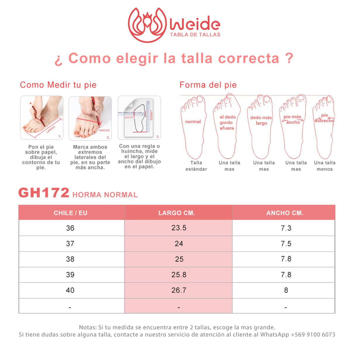 WEIDE - Zapato Taco Formal Plataforma Moda Mujer Weide GH172