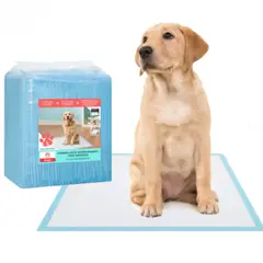 ANGELES DEL HOGAR - Sabanillas Mascotas Perros Y Gato 60x90cm 20PCS