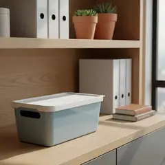 GENERICO - Caja Organizadora Plástica Con Tapa 33x175cm