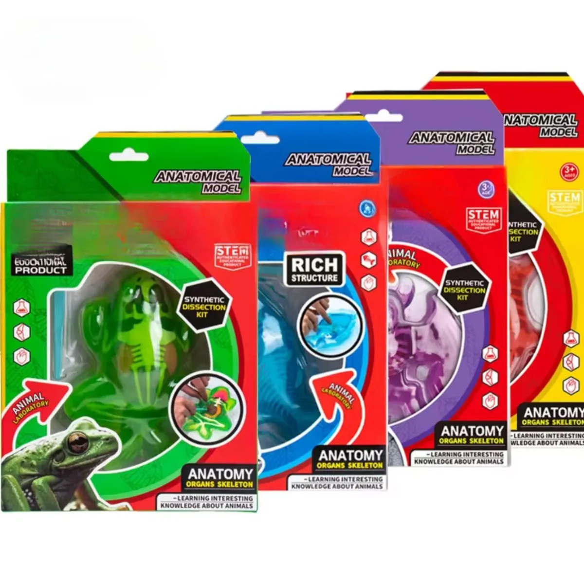GENERICO - Kit Educativo de Ciencias para Niños Juego de Disección Animal