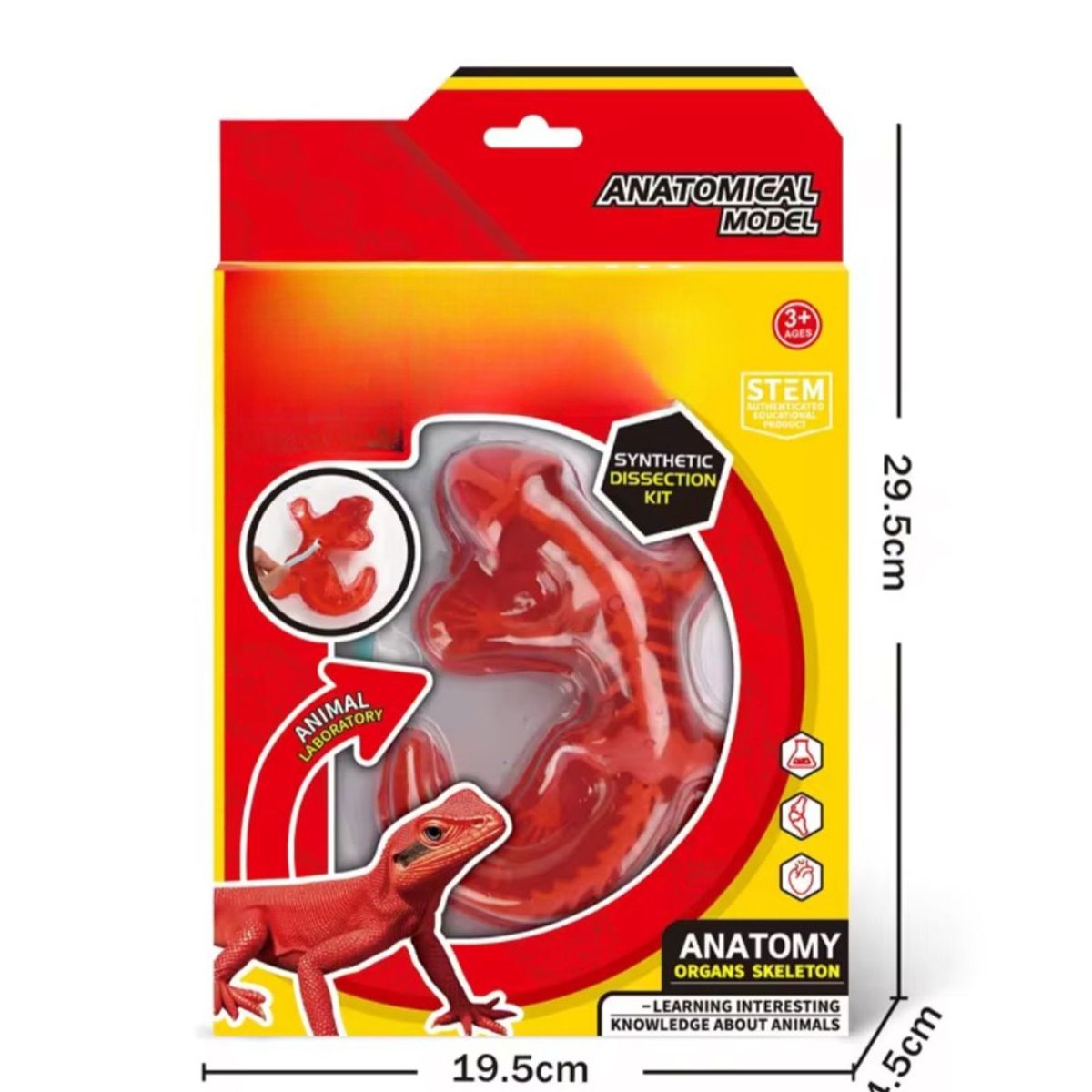 GENERICO - Kit Educativo de Ciencias para Niños Juego de Disección Animal