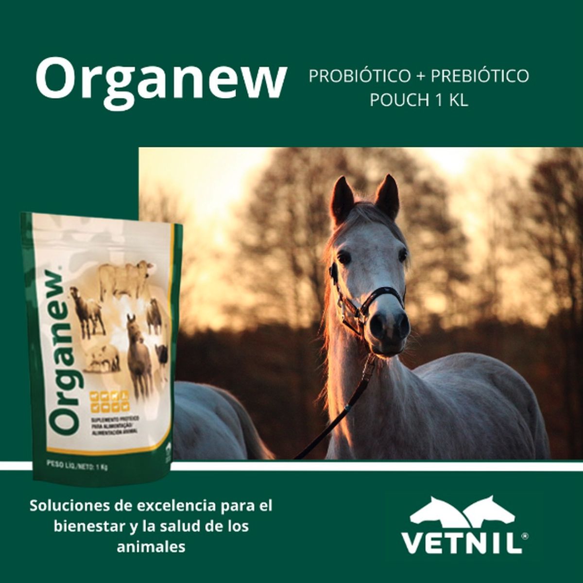 GENERICO - Suplemento Probiótico Y Prebiótico Organew 1 Kg Vetnil