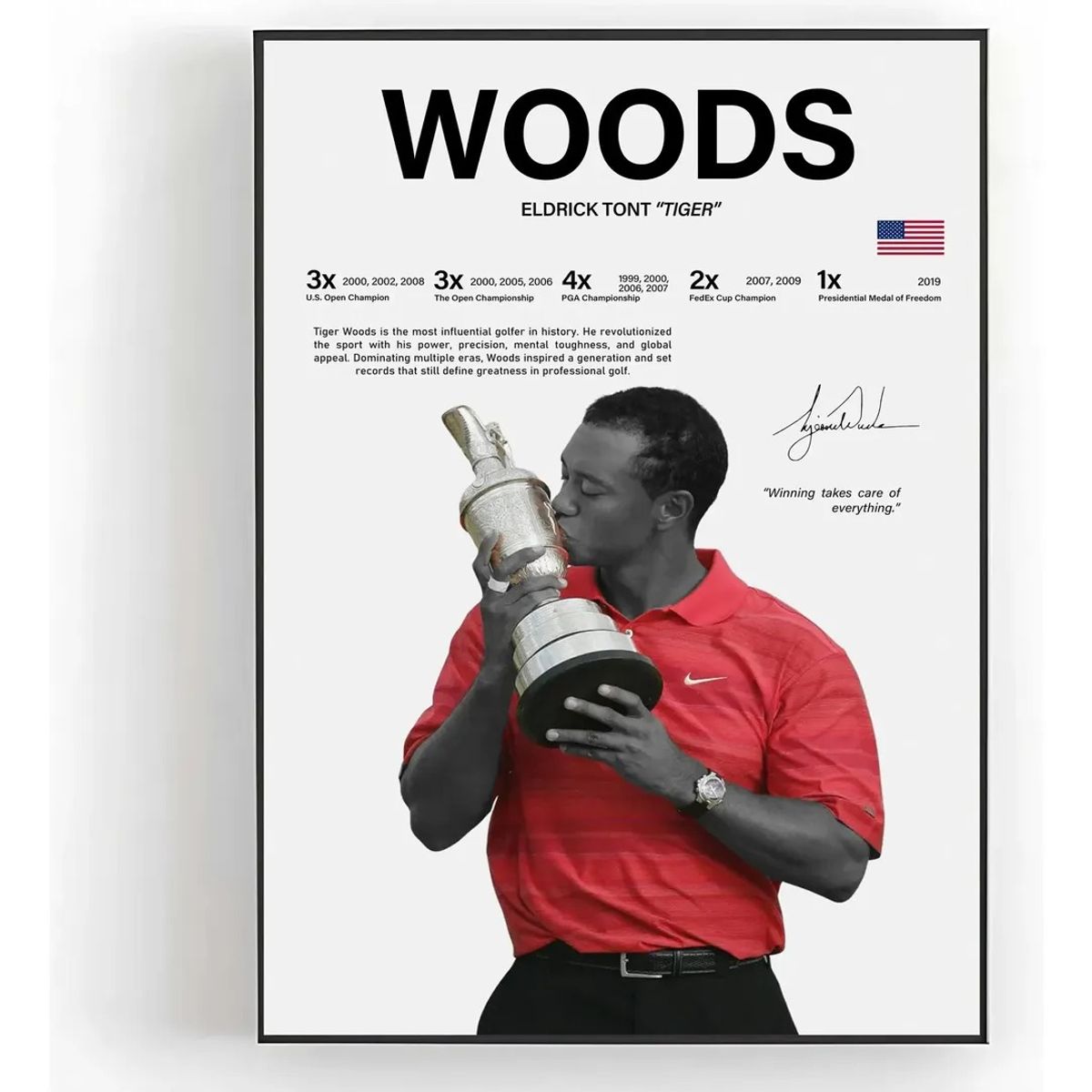 GENERICO - Cuadro Tiger Woods El Tigre Golf + Marco