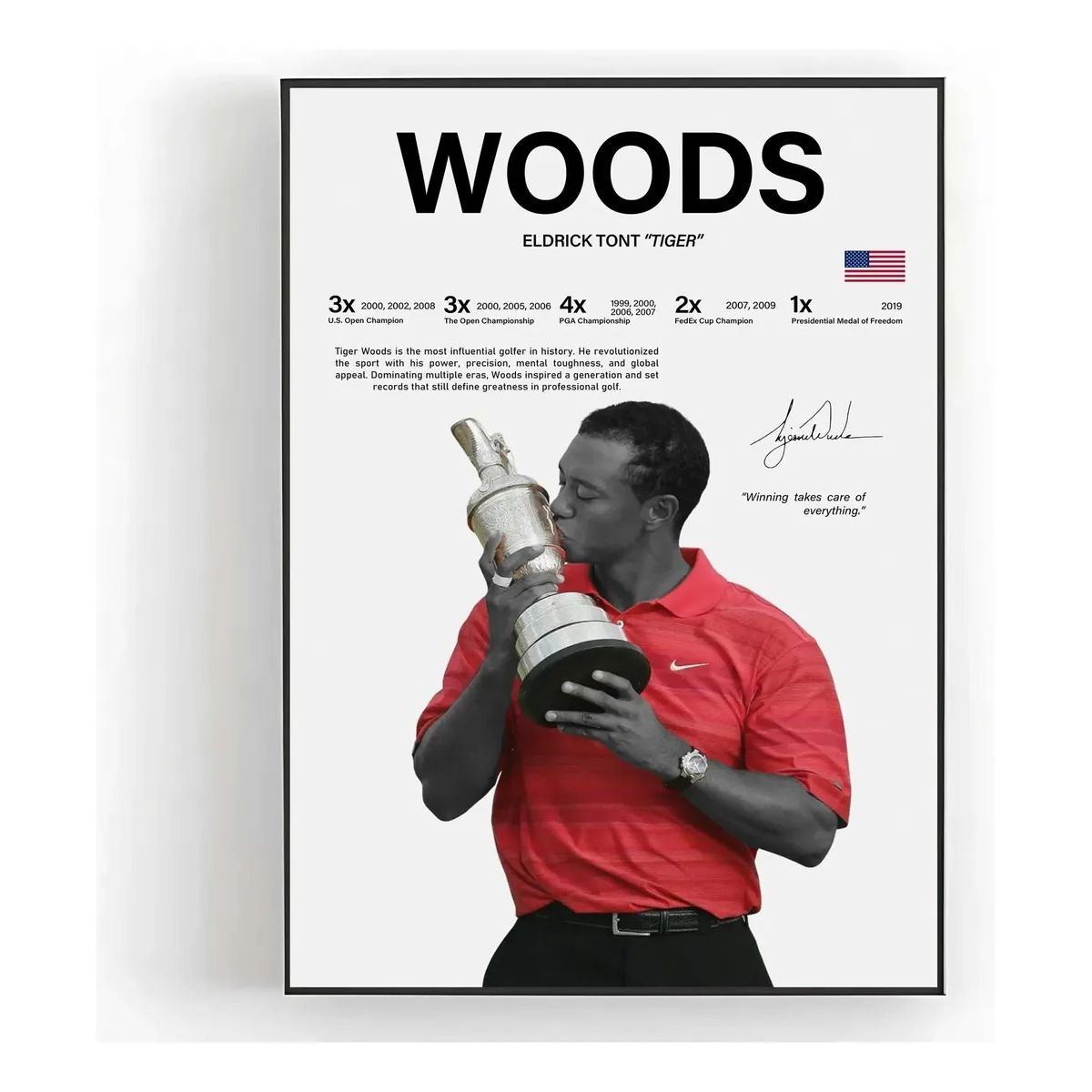 GENERICO - Cuadro Tiger Woods El Tigre Golf + Marco