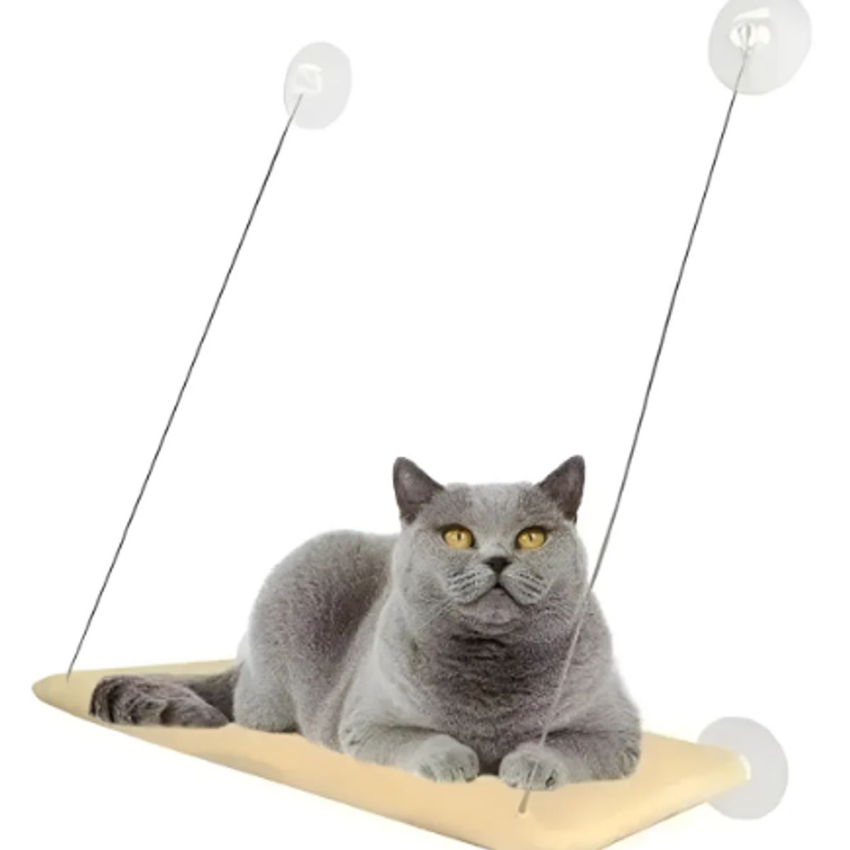 GENERICO - Cama Para Gatos Colgante Hamaca Con Ventosa A La Ventana Beige Liso