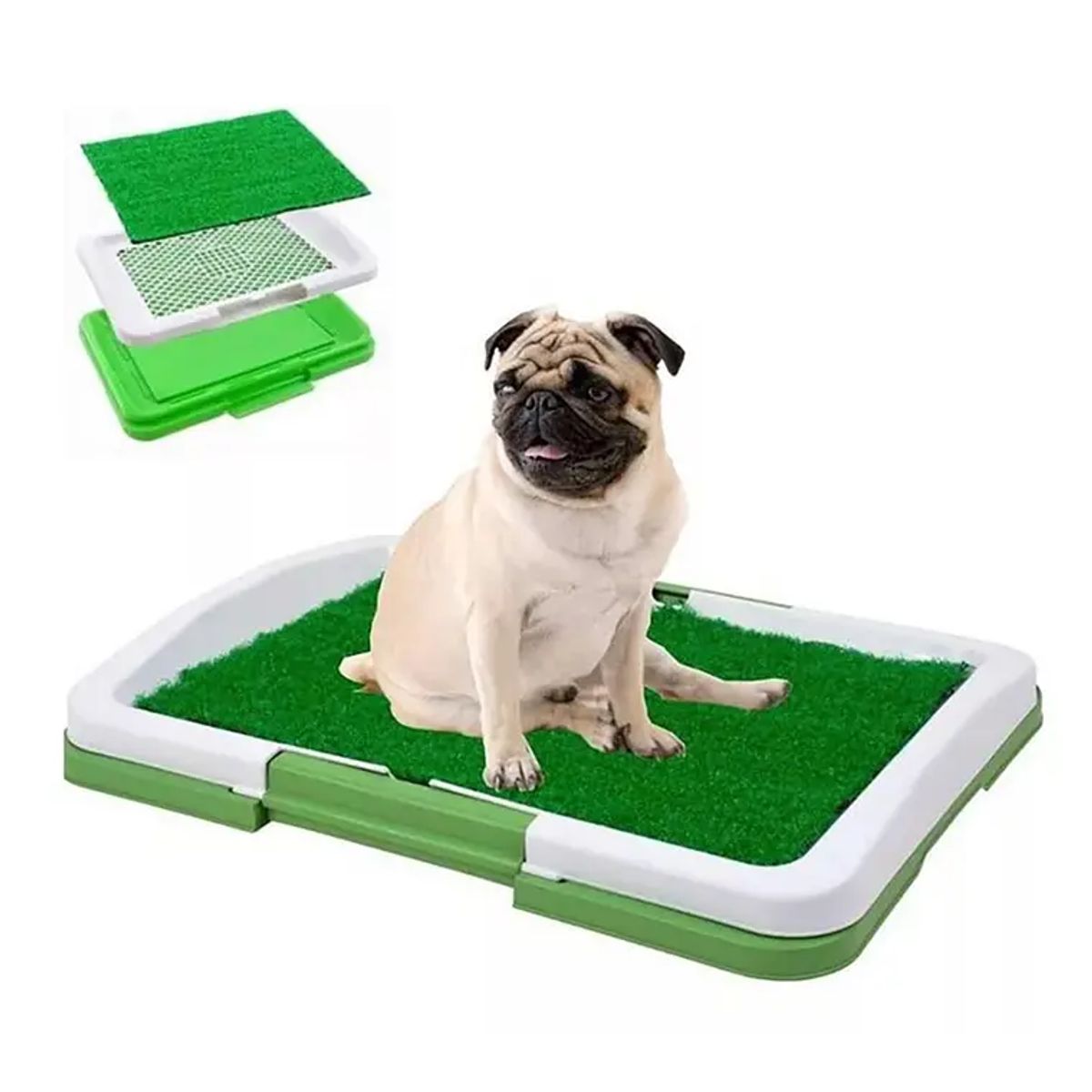 GENERICO - Baño Ecológico Mascotas 3 Niveles 46x33cm Para Perros Rejilla Seco Fácil Limpieza