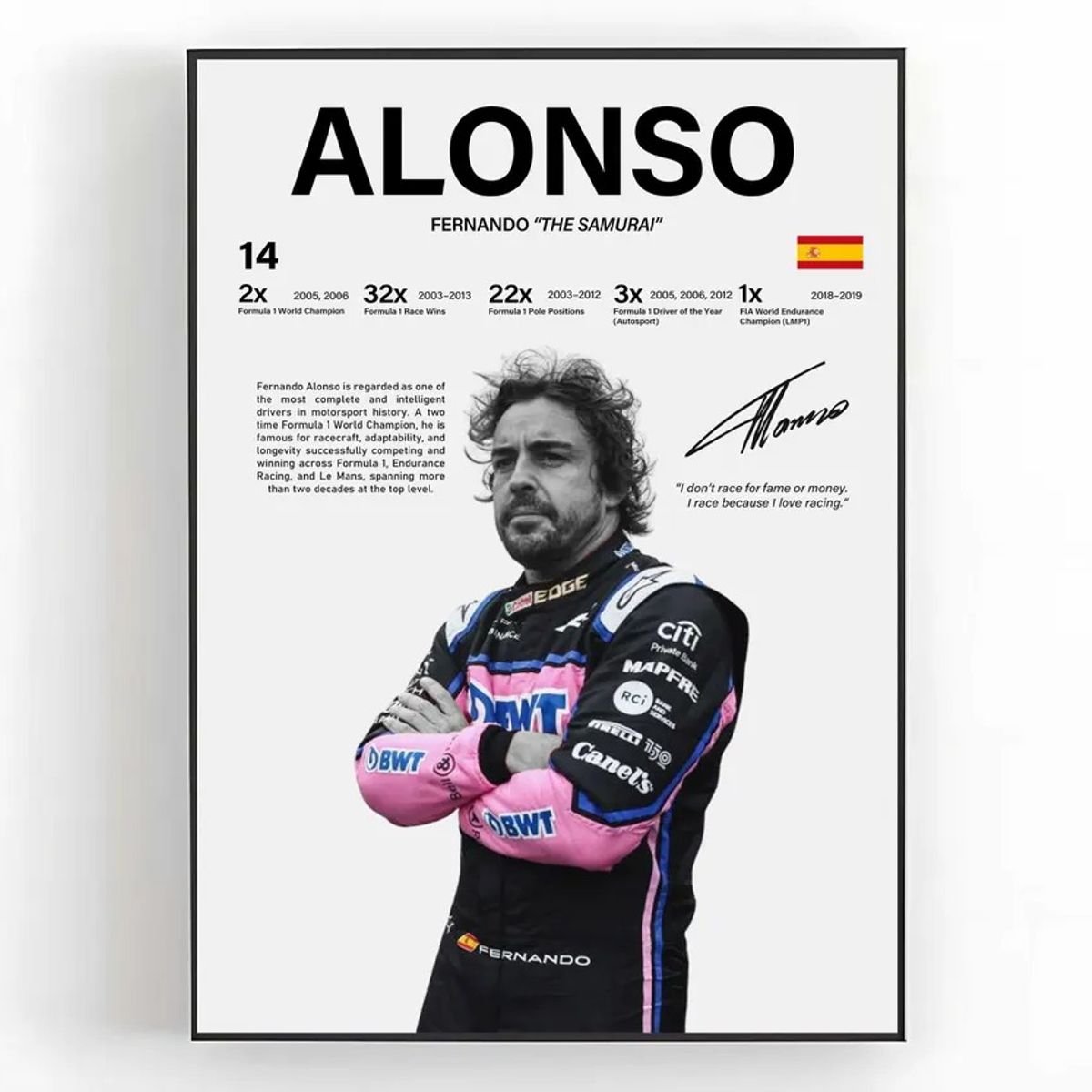 GENERICO - Cuadro Fernando Alonso F1 N°14 “El Nano” Alpine F1 Team + Marco