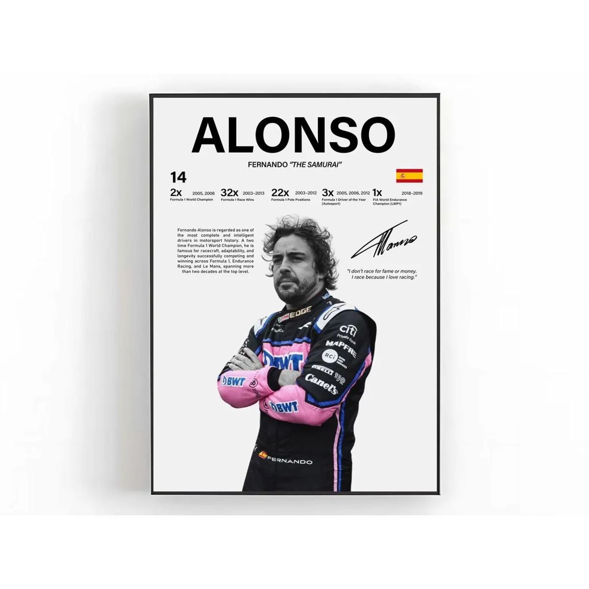 GENERICO - Cuadro Fernando Alonso F1 N°14 “El Nano” Alpine F1 Team + Marco