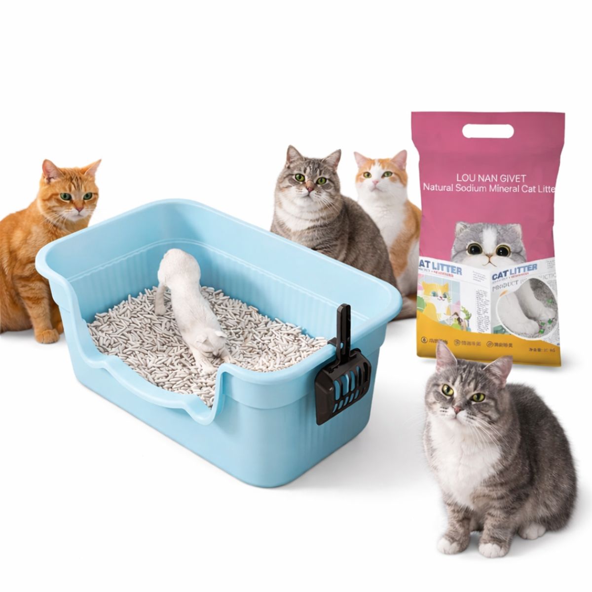 SUKEA - Pack De Arenero De 50cm Para Gato Con Pala + Arena Mineral Celeste