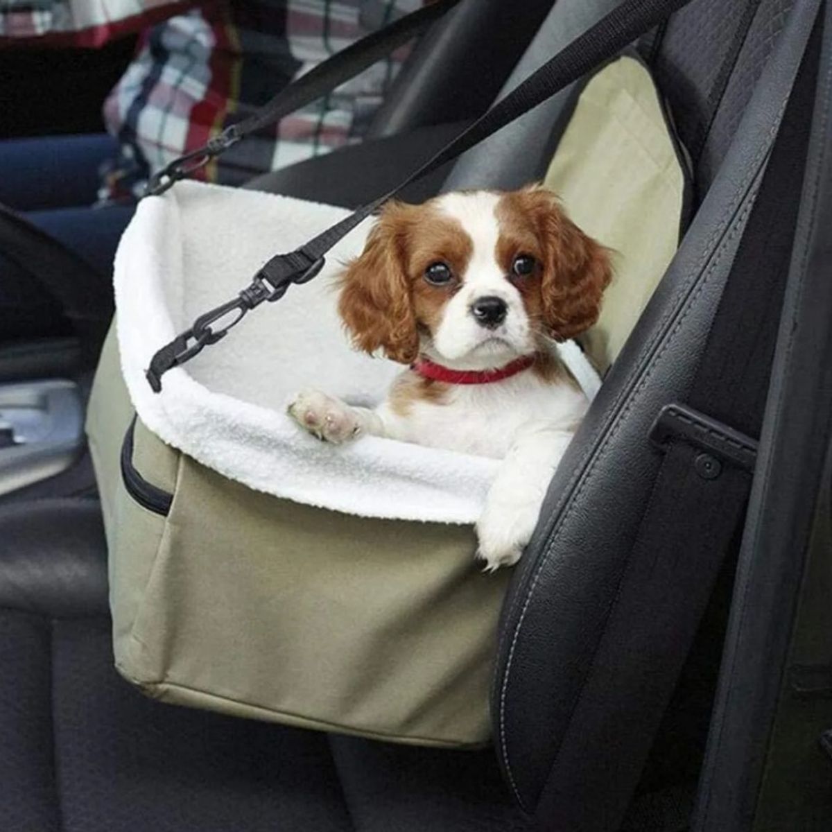 MOVI - Asiento de auto para mascotas
