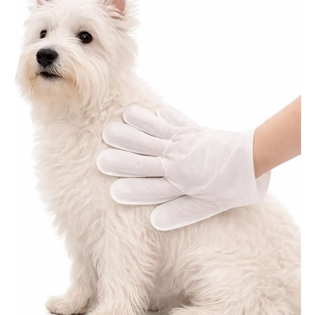 GENERICO - Toallas Desechables Humedas Guante Limpieza Mascota 6 Pieza Toallas Humedas Desechables