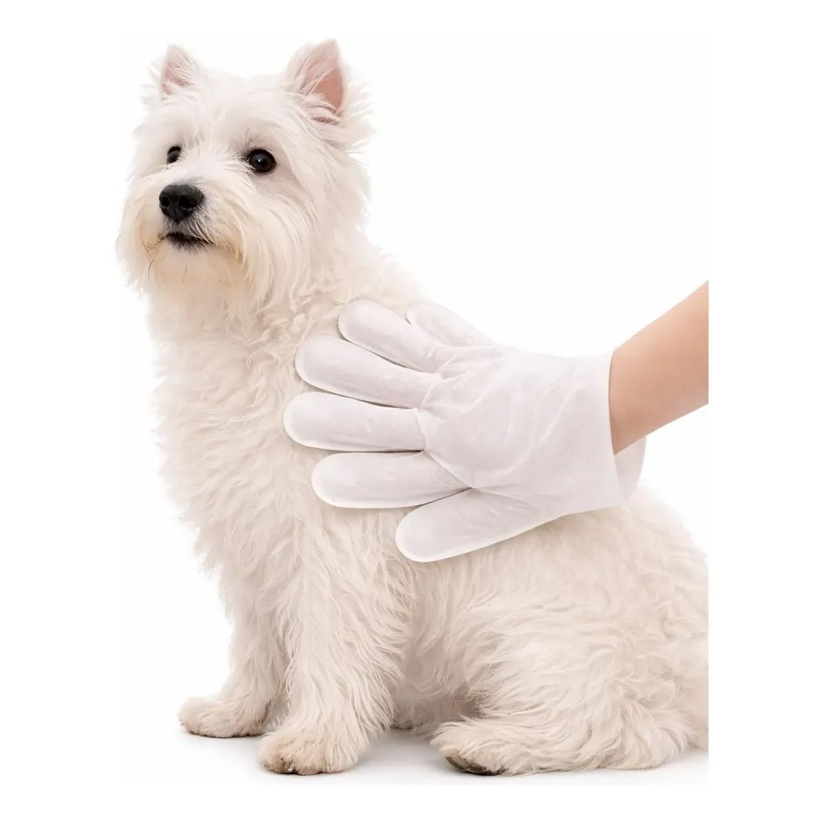 GENERICO - Toallas Desechables Humedas Guante Limpieza Mascota 6 Pieza Toallas Humedas Desechables