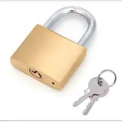 GENERICO - Candado Arco Uso General Seguridad Stelar 20mm Dorado