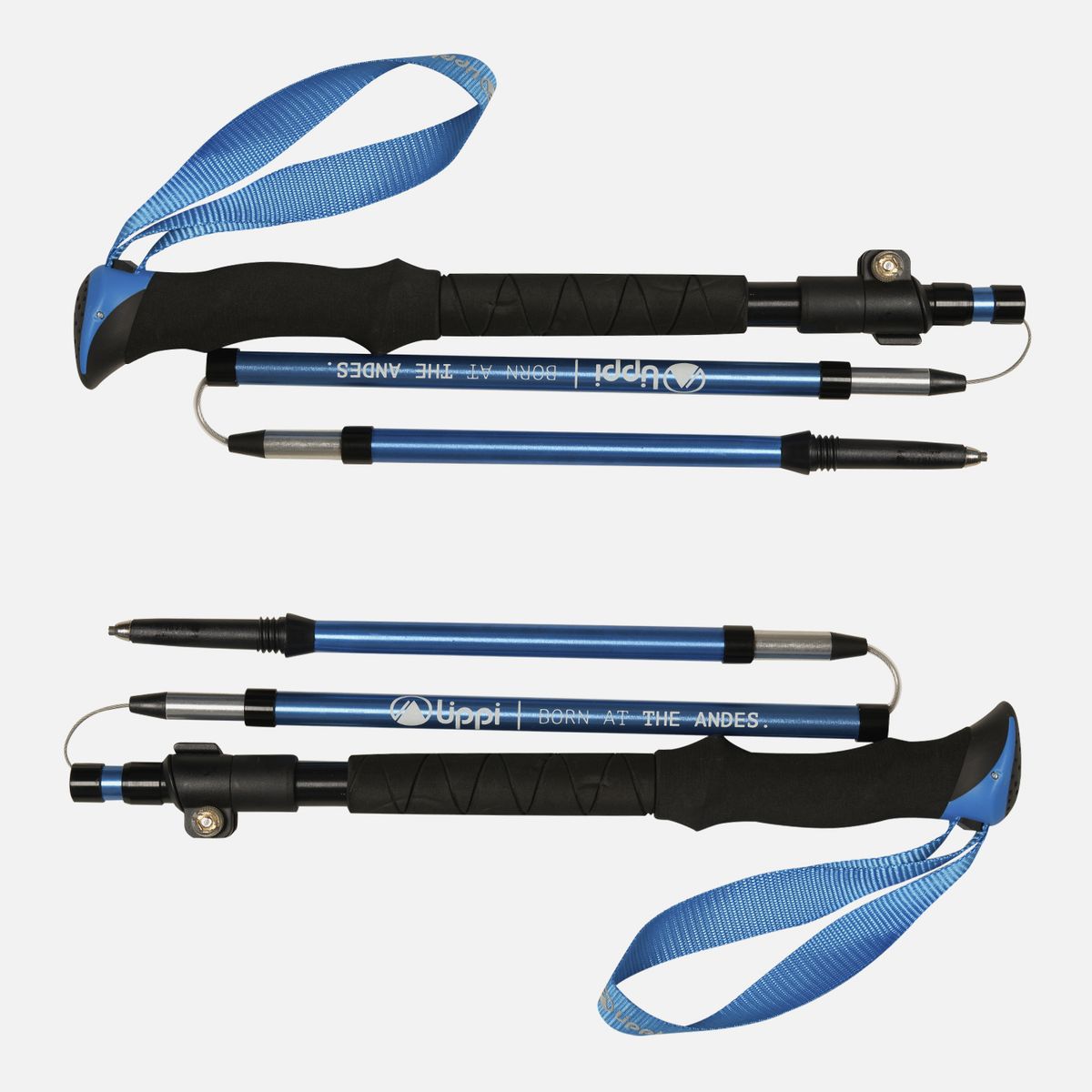 LIPPI - Bastón Fast Trail Duo Trekking Pole Azul Lippi