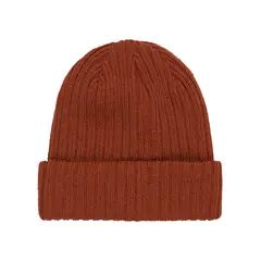 DC SHOES - Gorro Hombre Fish N Destroy2 Rojo DC