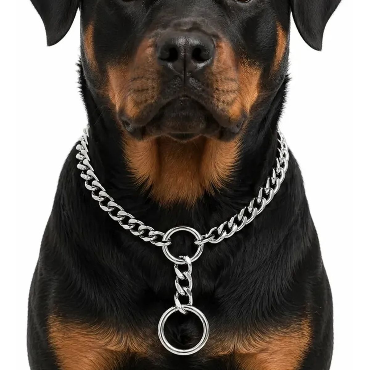 GENERICO - Collar Adiestramiento Perro Collar De Adiestramiento 50cm
