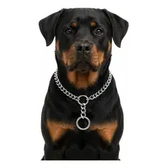 GENERICO - Collar Adiestramiento Perro Collar De Adiestramiento 50cm