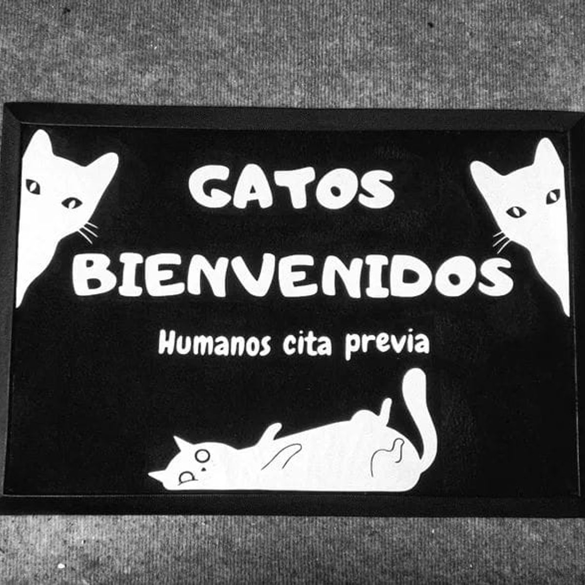 GENERICO - Tapete limpia pies diseño GATOS BIENVENIDOS