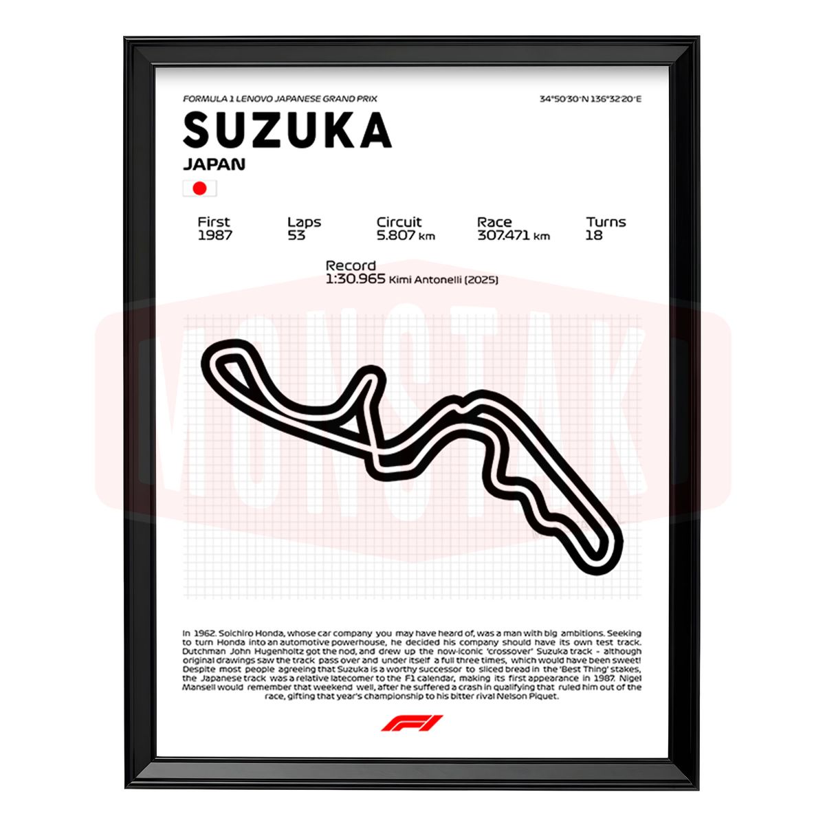 GENERICO - Cuadro Formula 1 Suzuka Japón Grand Prix
