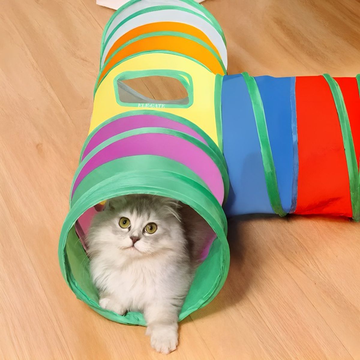 GENERICO - Túnel Plegable Gato 3 Vías 20 Pzs Juguetes Mascota