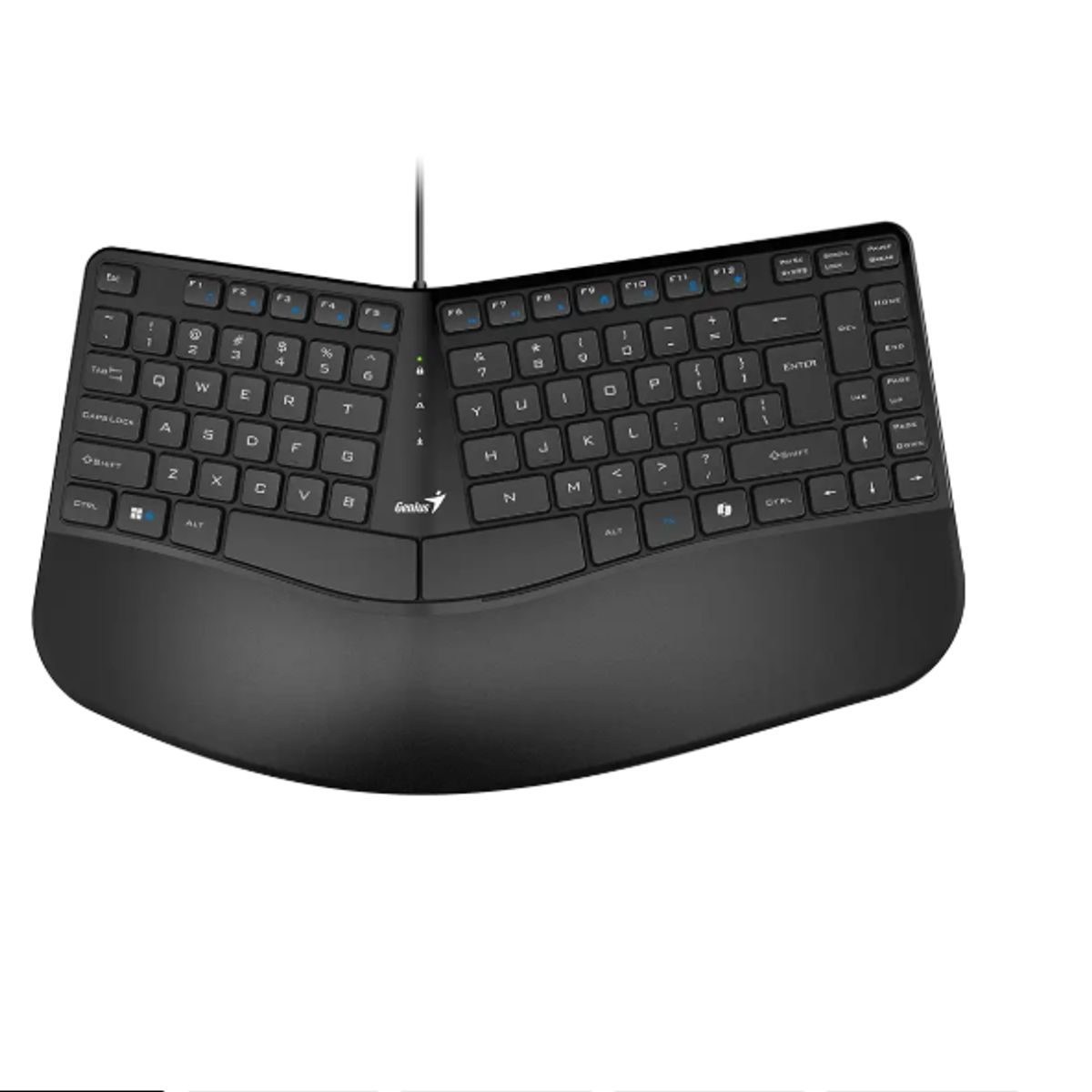 GENIUS - GENIUS TECLADO ERGONÓMICO COPILOT PALM REST USB BLACK ERGO KB-700