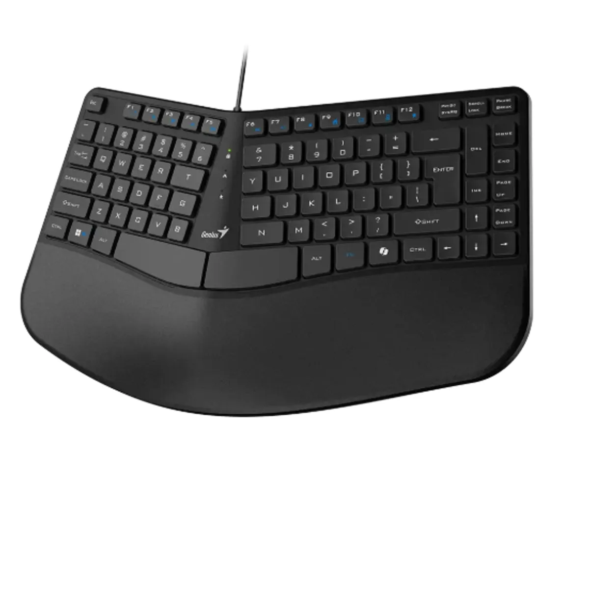 GENIUS - GENIUS TECLADO ERGONÓMICO COPILOT PALM REST USB BLACK ERGO KB-700