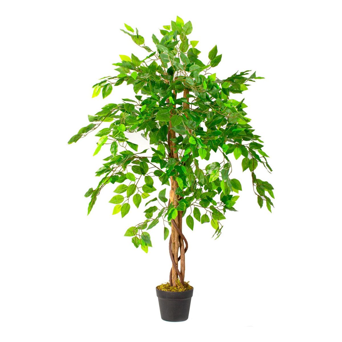 ARBUSTO REAL - Planta Artificial Ficus Premium 120 Cm. / Arbusto Real Verde 120 Cm.