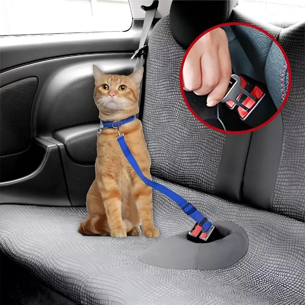 GENERICO - Cinturón De Seguridad Auto Perro Correa Cinturón Gatos 60 cm