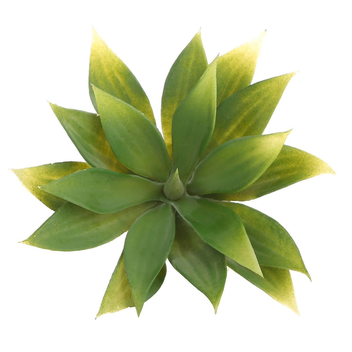 HOME ESSENTIALS - Suculenta artificial