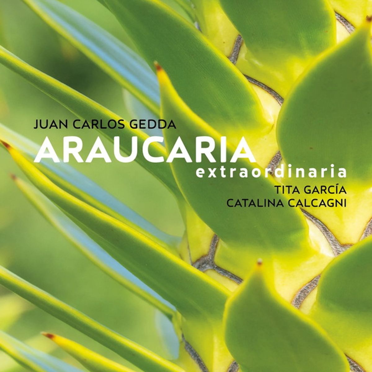 ANTARTICA LIBROS - Araucaria Extraordinaria
