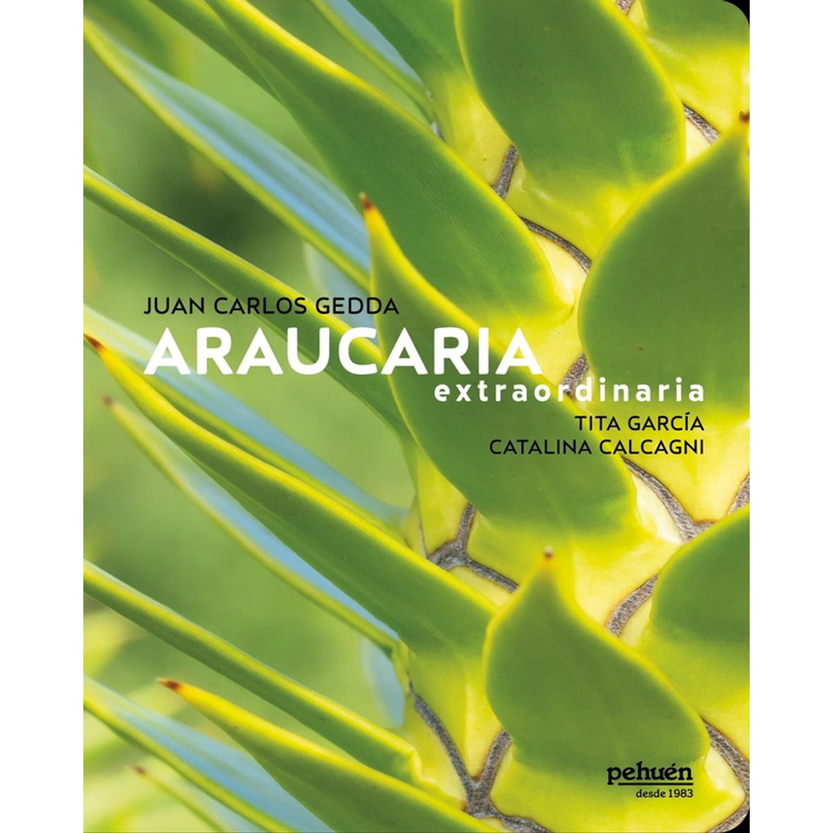 ANTARTICA LIBROS - Araucaria Extraordinaria