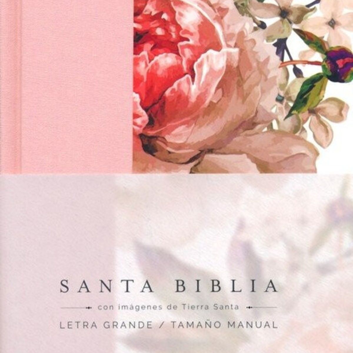 ANTARTICA LIBROS - Biblia RVR1960 Tamaño Manual Letra Grande Flores TD