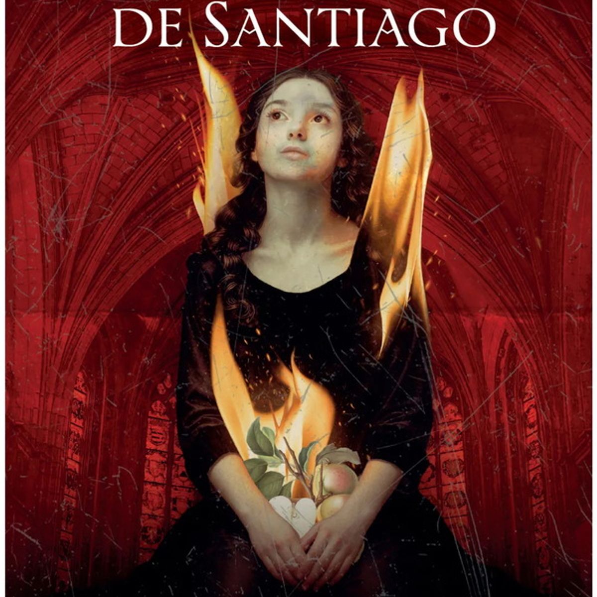 ANTARTICA LIBROS - La Endemoniada De Santiago
