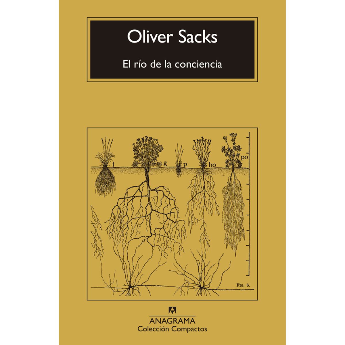 ANTARTICA LIBROS - El Rio De La Conciencia