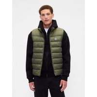 Chaqueta Hombre Vest Verde