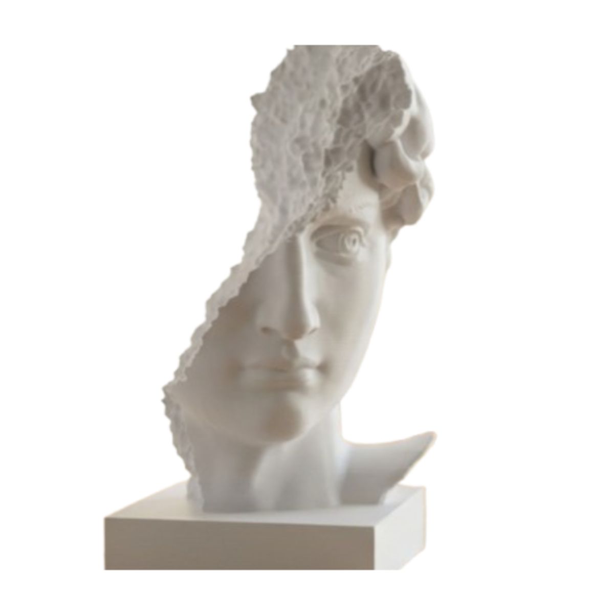 GENERICO - Escultura- Busto de David Arruinado