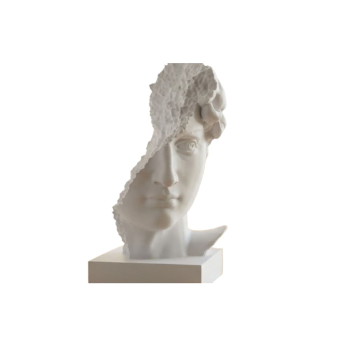 GENERICO - Escultura- Busto de David Arruinado
