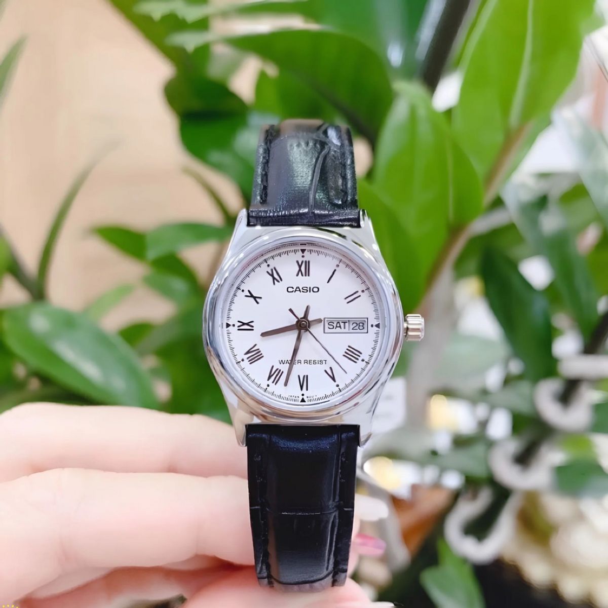 CASIO - RELOJ CASIO LTP-V006L-7BUDF PLATEADO MUJER