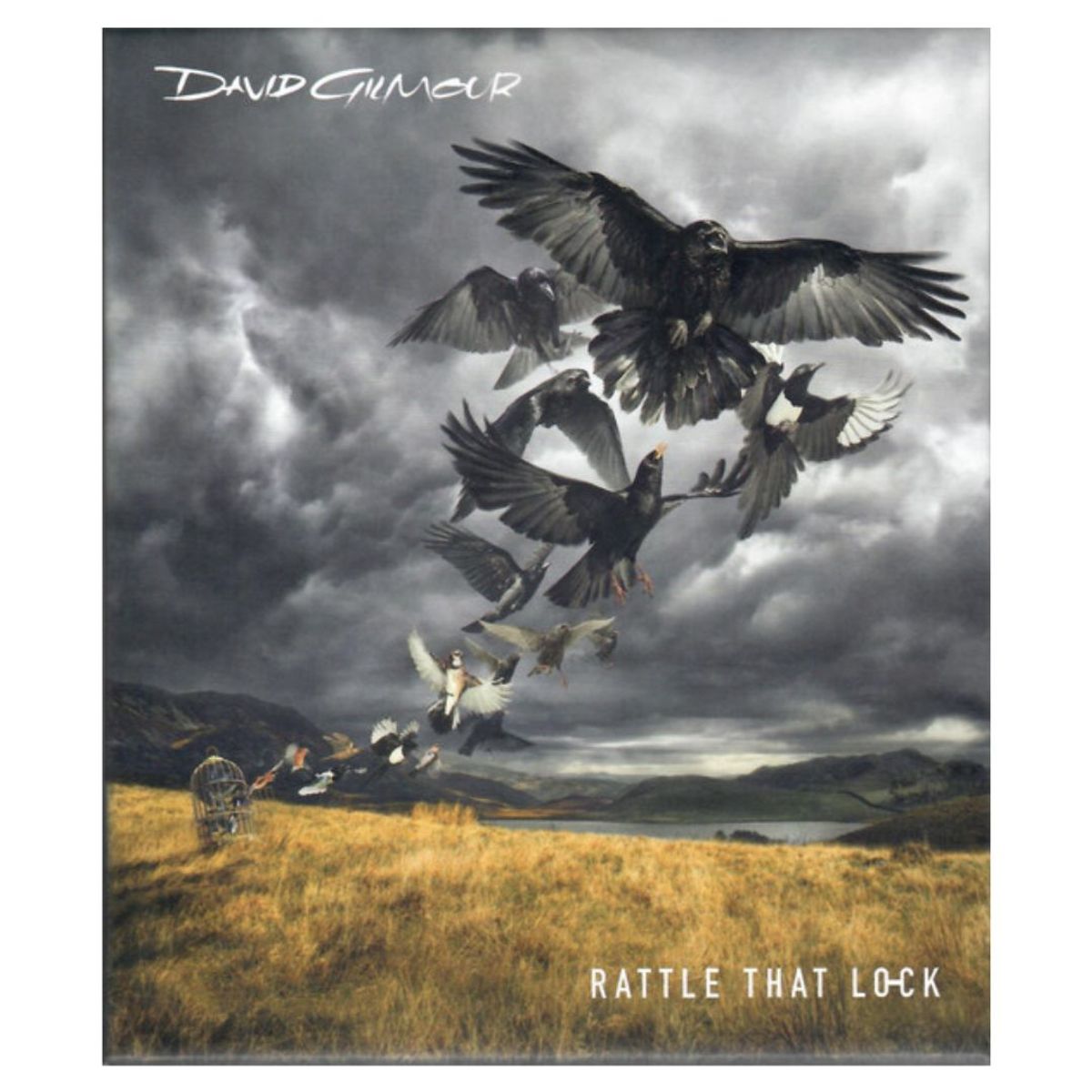 GENERICO - DAVID GILMOUR - RATTLE THAT LOCK (DELUXE CD+DVD) / CD