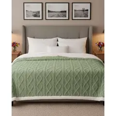 GENERICO - Frazada Manta Polar Sherpa Térmica Plaza y media