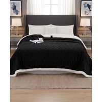 Frazada Manta Polar Sherpa Térmica 2 plaza